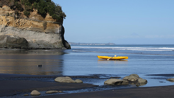 Adastra New Plymouth Finance Adviser